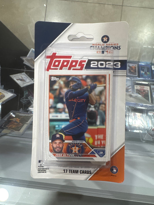 2023 Houston Astros team set