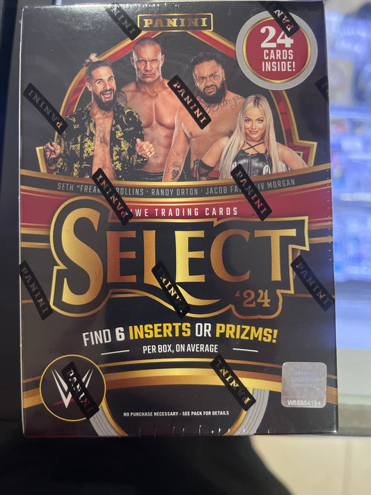 Panini Select WWE 2024