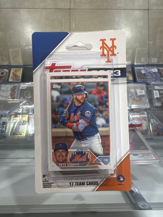 2023 NY METS team set